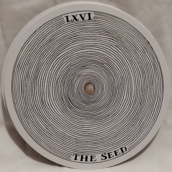 The Wild Unknown Archetypes - Picture 12 of 13